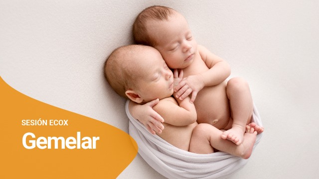 ecografia 5d gemelar